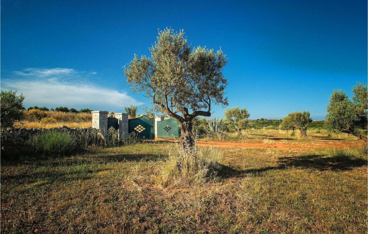 Biba Ranch