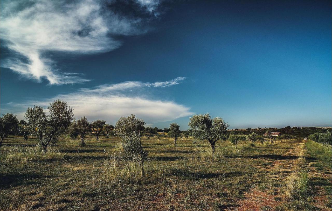 Biba Ranch Pola